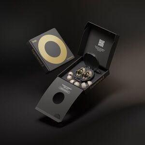 🎄🆕 Loop Experience 2 Earplugs in Gold